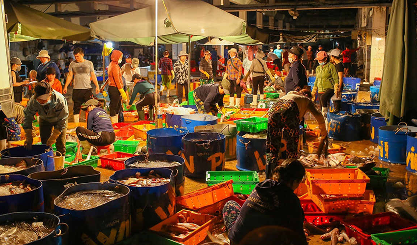 Local-Markets-and-Villages-hoi-an-to-quy-nhon